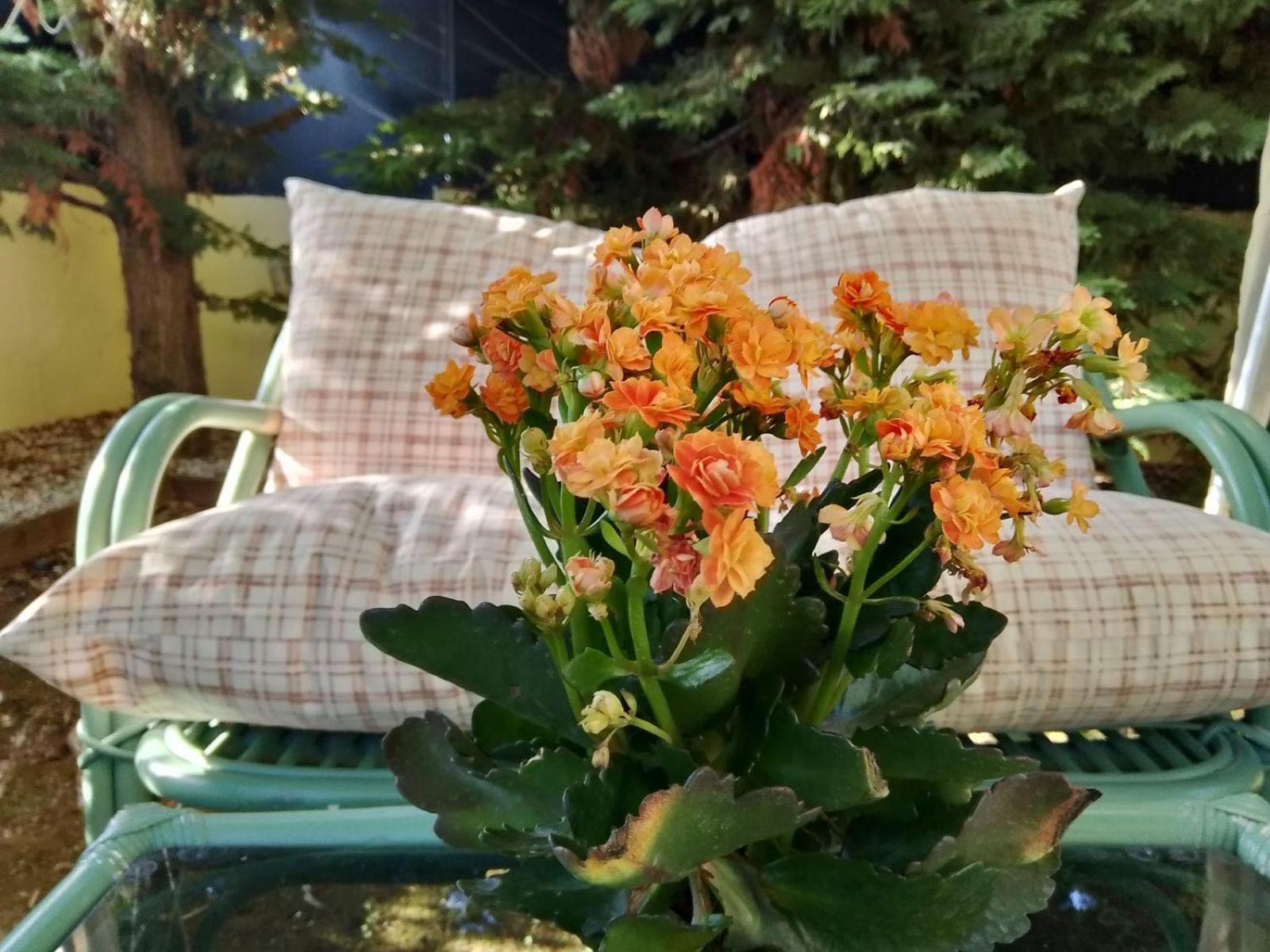 Like My Home Artemida  Esterno foto
